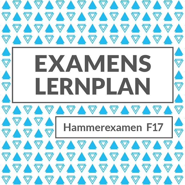 Der 100-Tage-Lernplan fürs Examen (M2) im Frühjahr 2017