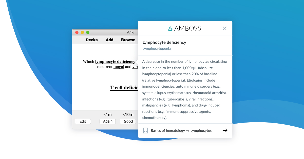 How To Use The New Improved Amboss Add On For Anki