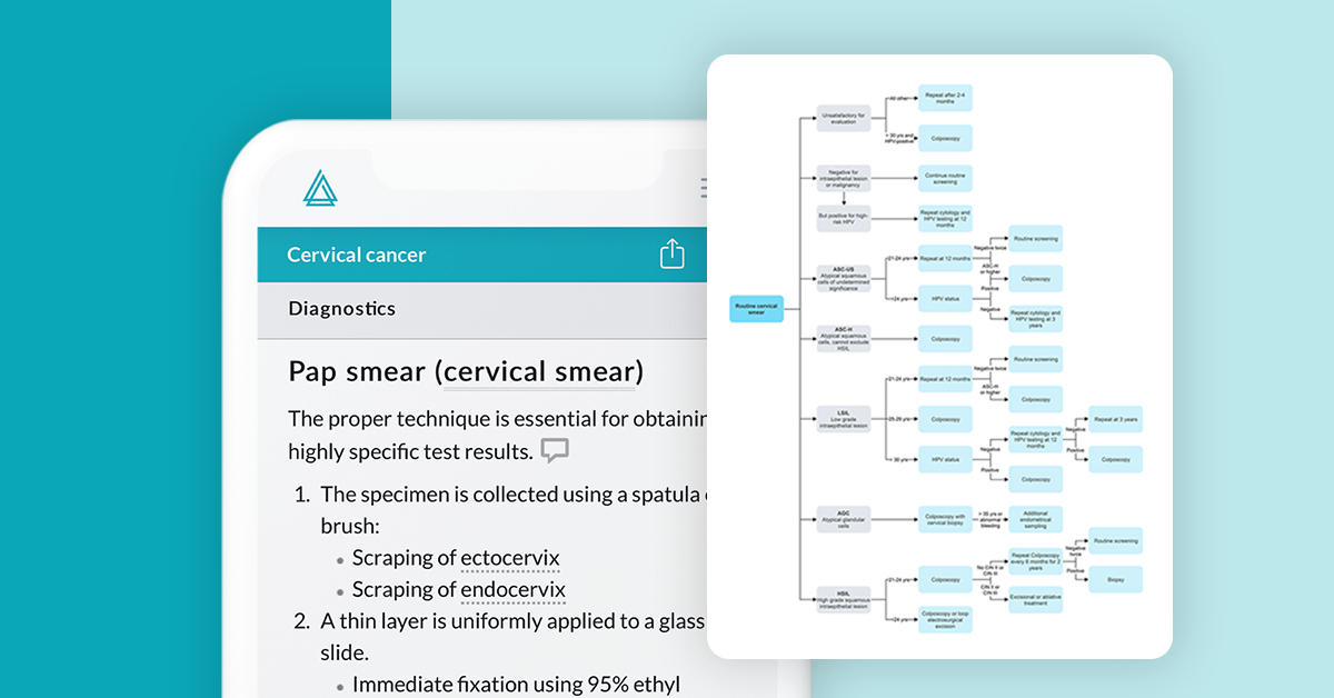 A phone showing a flowchart and medical information useful for clinical rotations