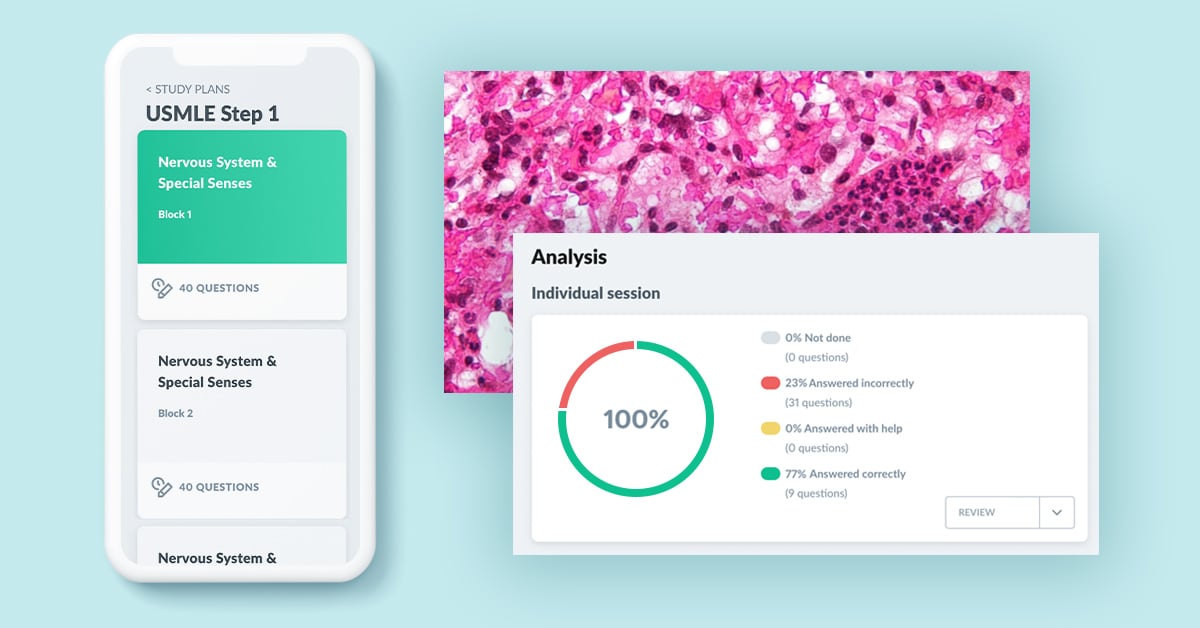 Images of the AMBOSS USMLE Step 1 Study plan and an histology image.  