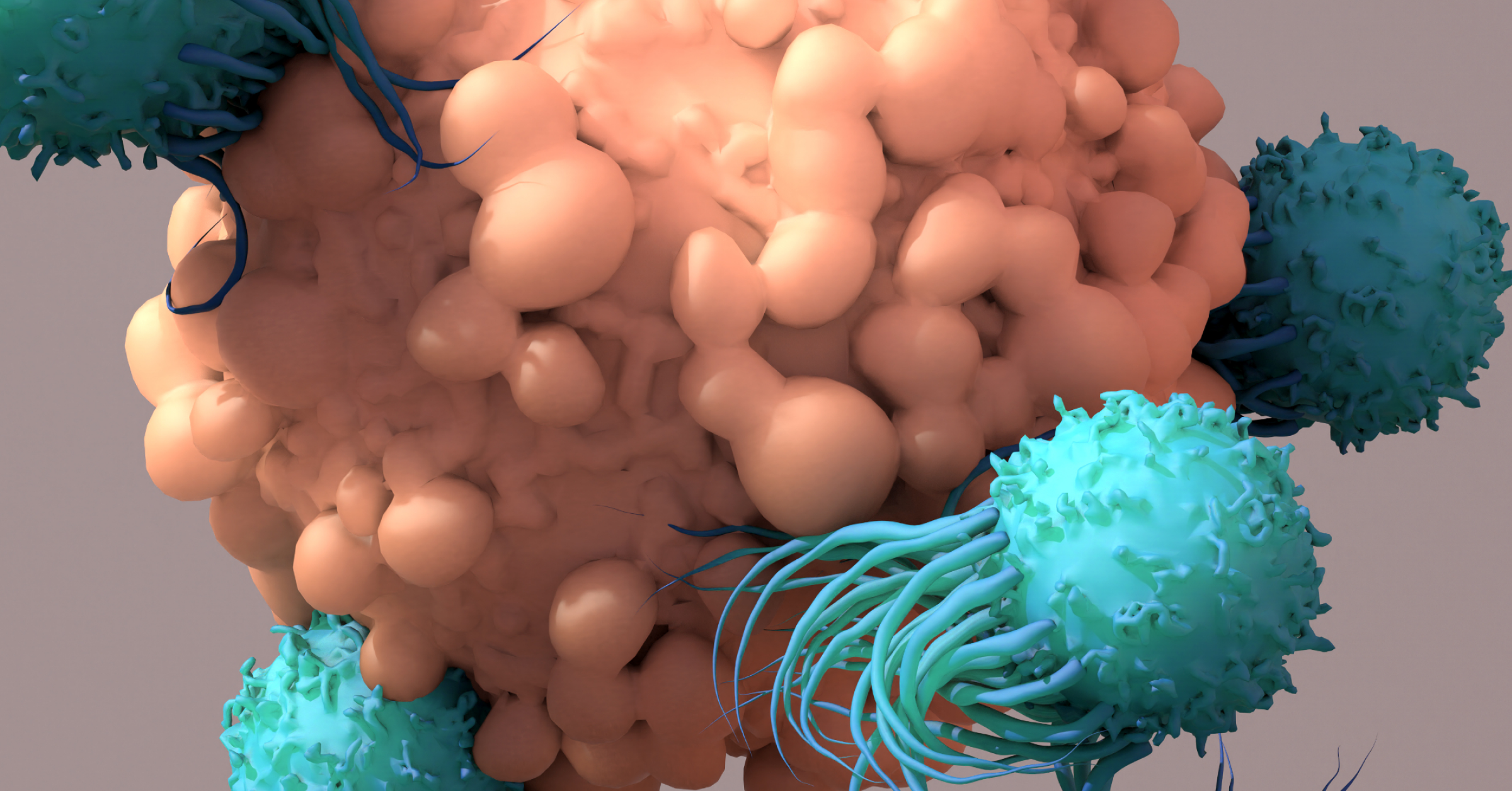CAR-T-Zellen attackieren eine Tumorzelle. CAR-T-Zell-Therapie im AMBOSS-Blog.