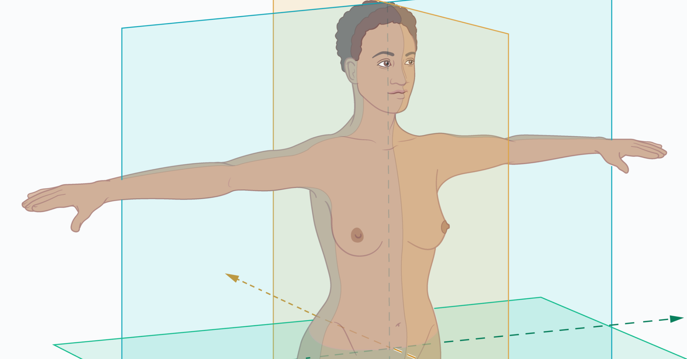 Die Körperachsen am Beispiel eines weiblichen Körpers mit dunkler Haut. Gender-Bias in der Anatomie im AMBOSS-Blog. 