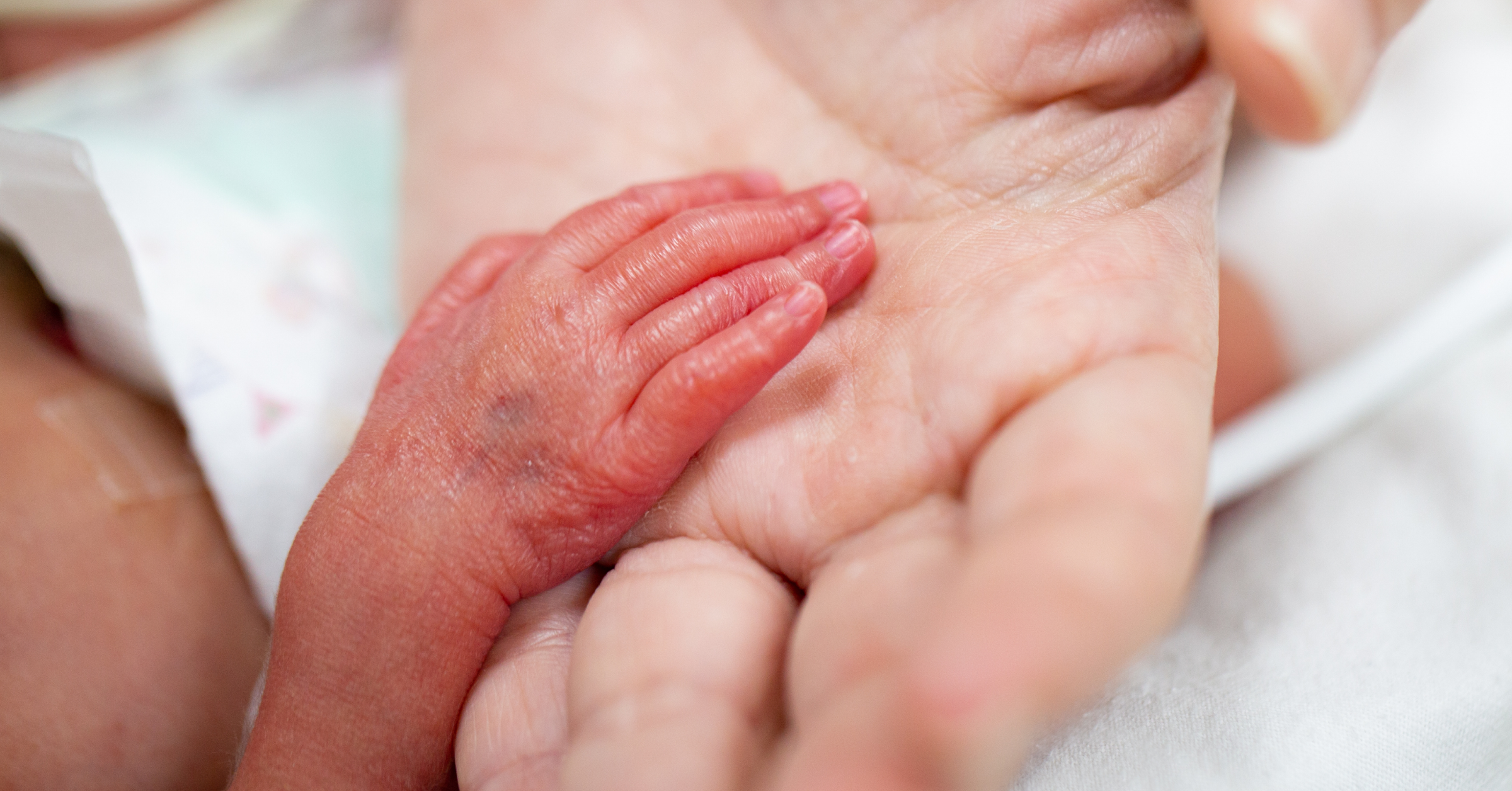 Hand eines Frühgeborenen liegt in Erwachsenenhand - AMBOSS-Blog.